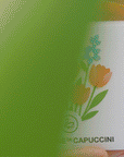 Zestaw Dzień Pro-Kolagen (Dzień SPF30 Soft + Serum) | Timexpert Wrink-Less
