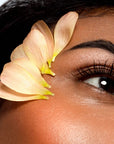 Brow Plume Perfection