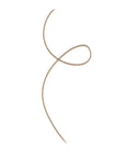 Brow Plume Perfection