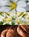 DELÁ Eau de Parfum - 15 mL