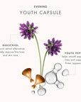 Time Retreat Youth Radiance Recovery Capsules