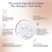 The Shampoo