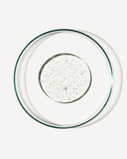Hydra-Restore Shampoo