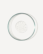 Revitalize Hand Wash