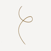 Brow Plume Perfection