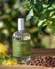 Menta un Menta – Eau de Parfum 100 ml