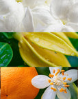 RINASCERE Eau de Parfum - 15 mL