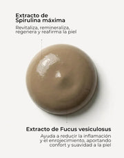 Mascarilla Purificante
