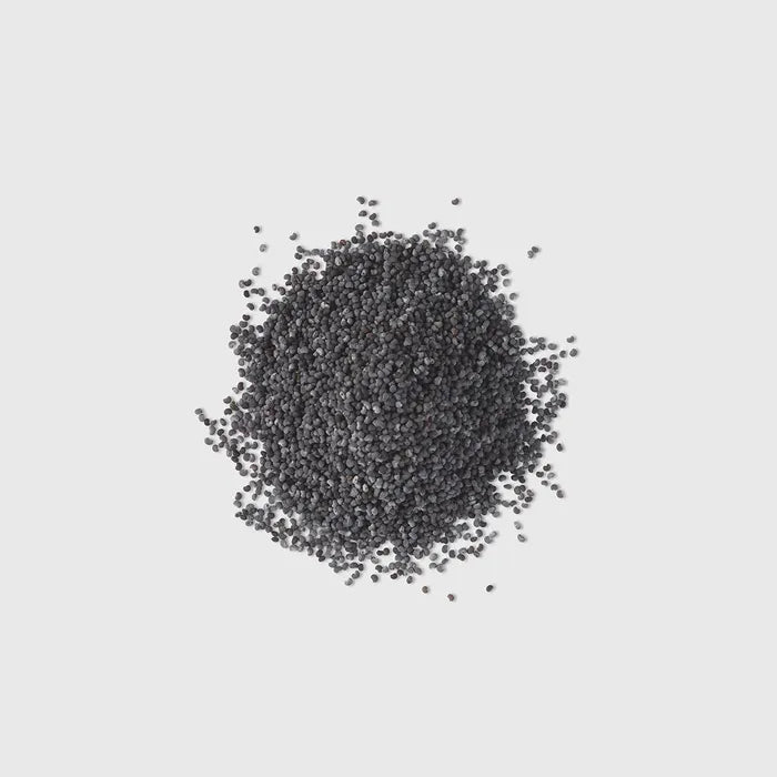 Semilles Exfoliants | L'Expert en Neteja 