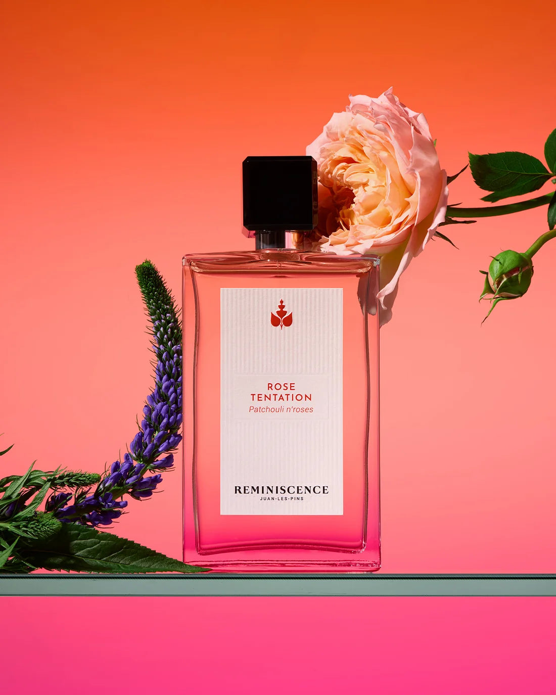 Rose tentation