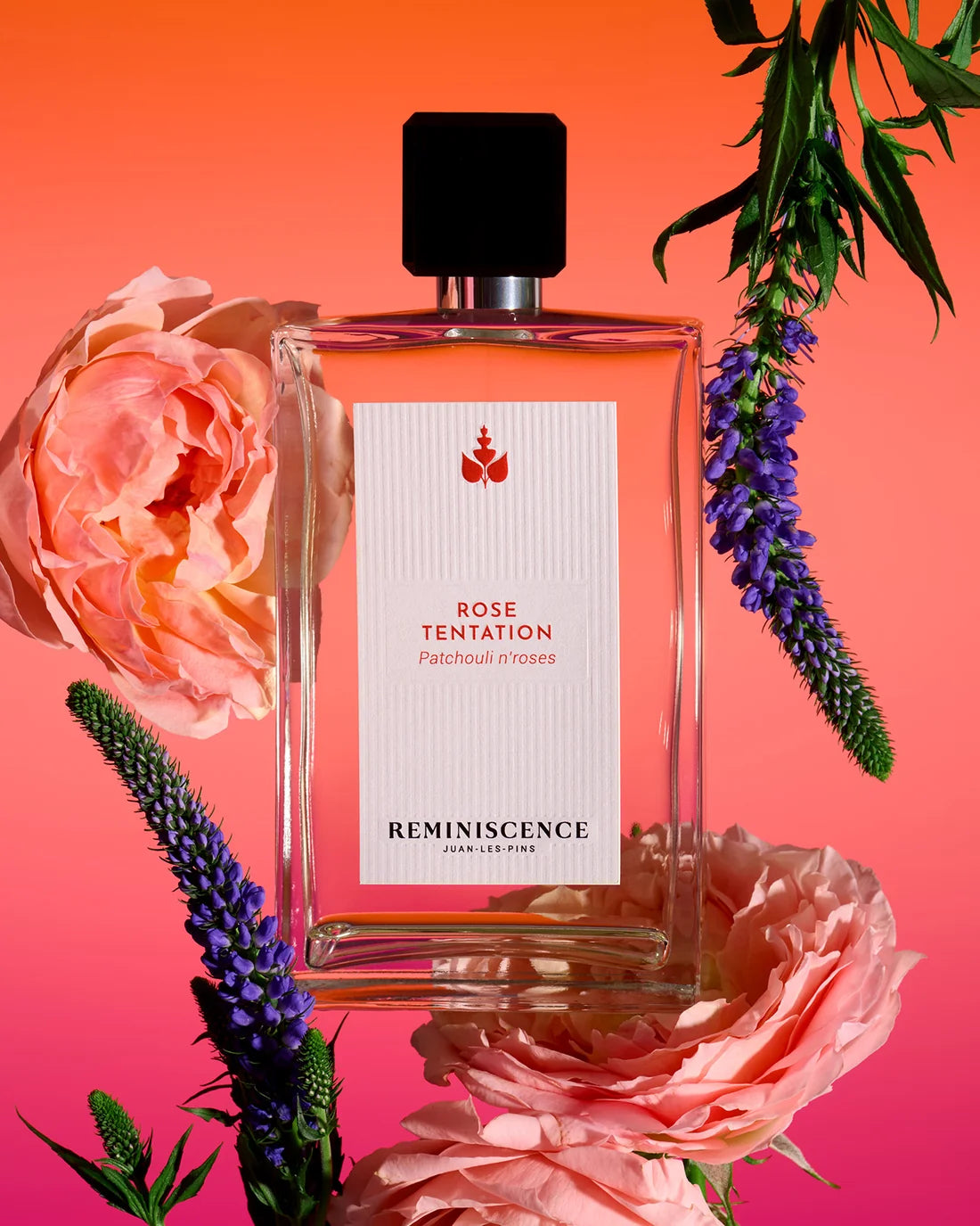 Rose tentation
