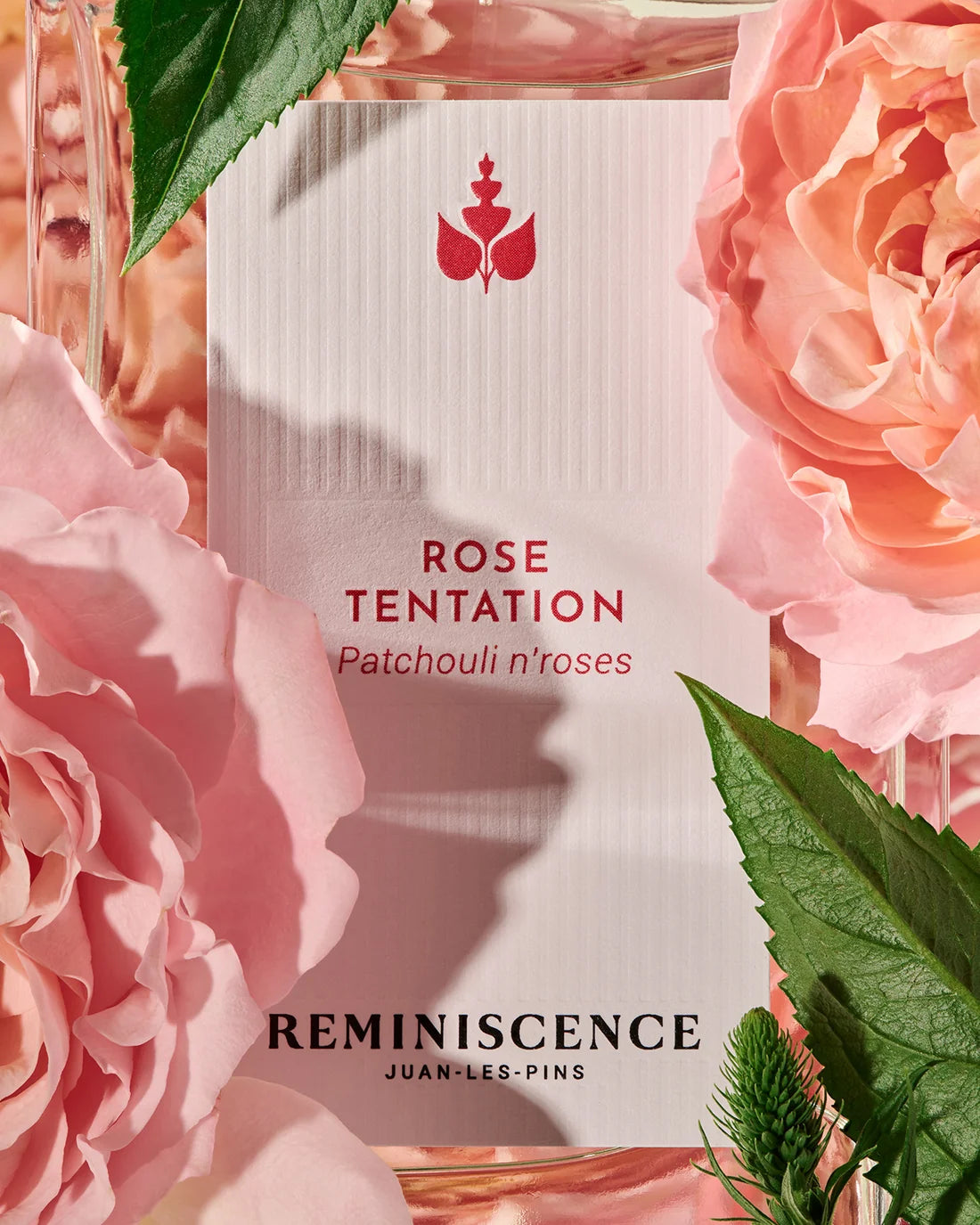 Rose tentation