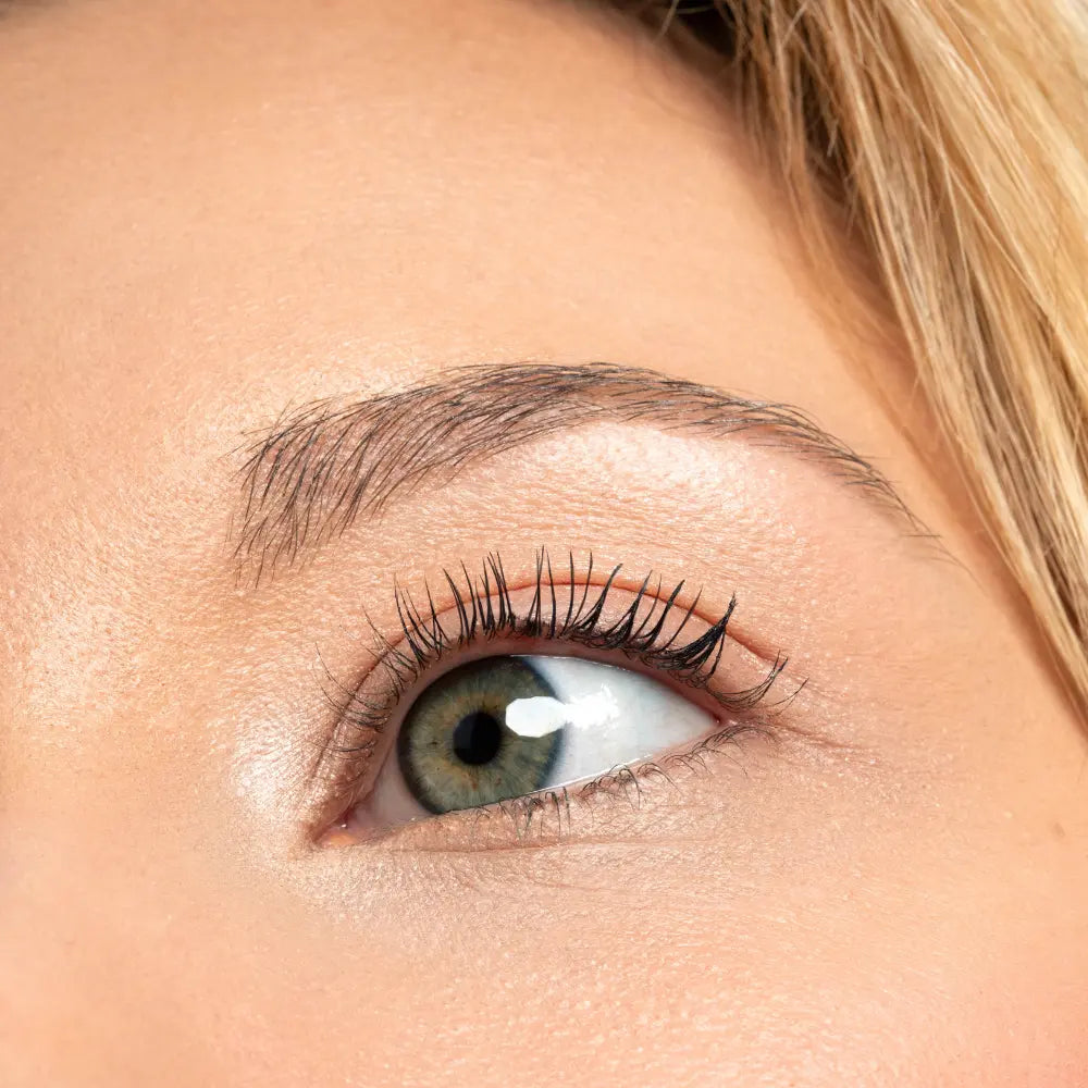 Brow Plume Perfection 