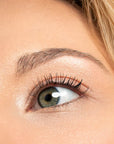 Brow Plume Perfection 