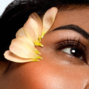 Brow Plume Perfection