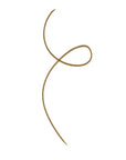 Brow Plume Perfection 
