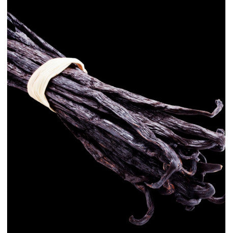 ADRIANA Eau de Parfum - 15 ml 