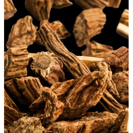 Power Eau de Parfum 15ml. 