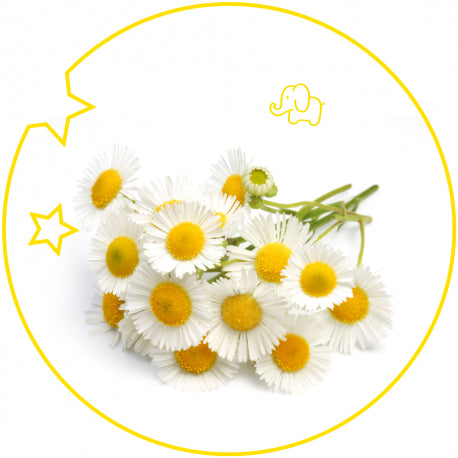 KIDS Eau de Toilette - 125 ml 