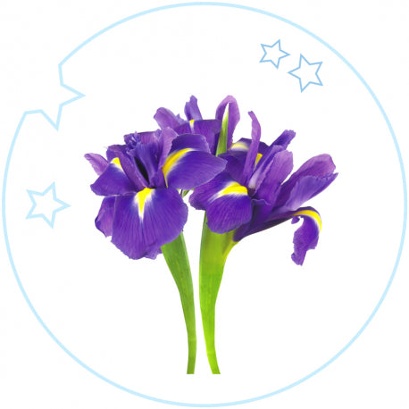 Kids Eau de Toilette 125ml. - Centro de Estética Itziar y Mariángeles