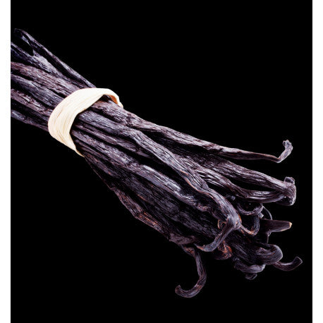 BLACK ELIXIR Eau de Parfum - 100 ml 