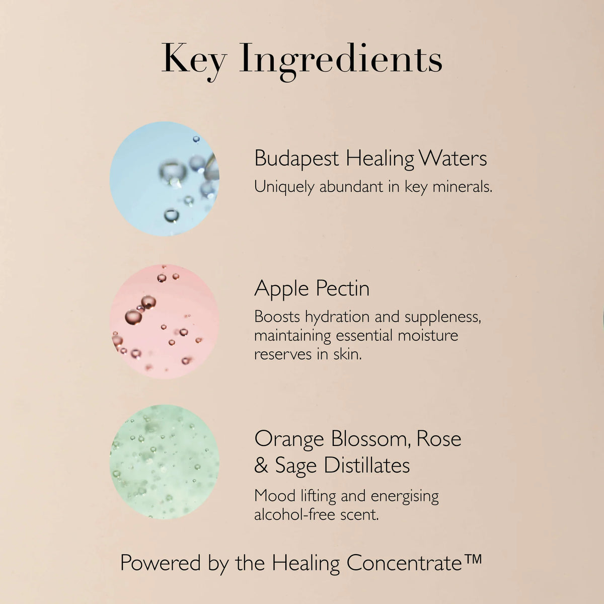 Queen of Hungary Mist