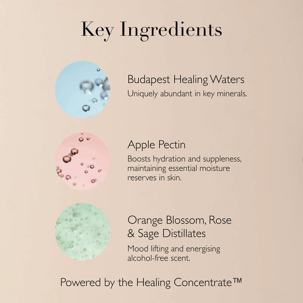 Königin des ungarischen Nebels 