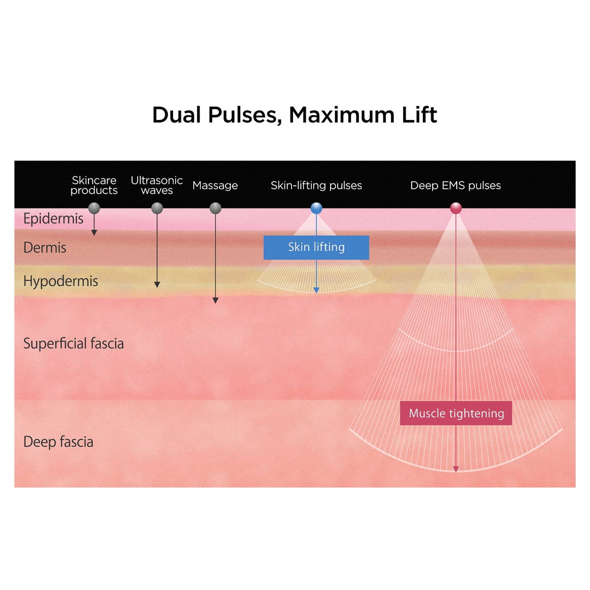 PROVE Total Skin Lift Care — Präzisionslifting für Gesicht, Kopfhaut und Körper 