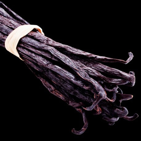 Luxor Eau de Parfum 100ml. - Centro de Estética Itziar y Mariángeles