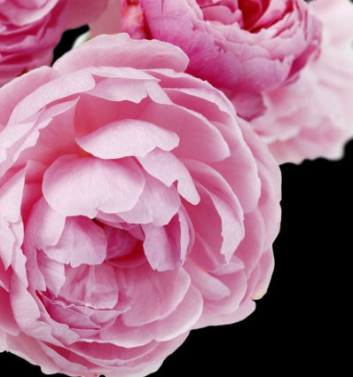 BERLUE Eau de Parfum - 100 ml 