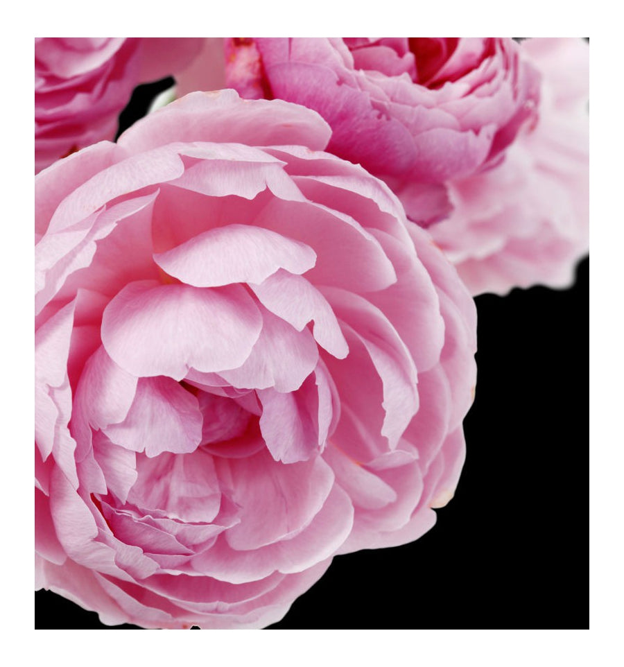 Cheante Eau  de Parfum- Centro de Estética Itziar y Mariángeles