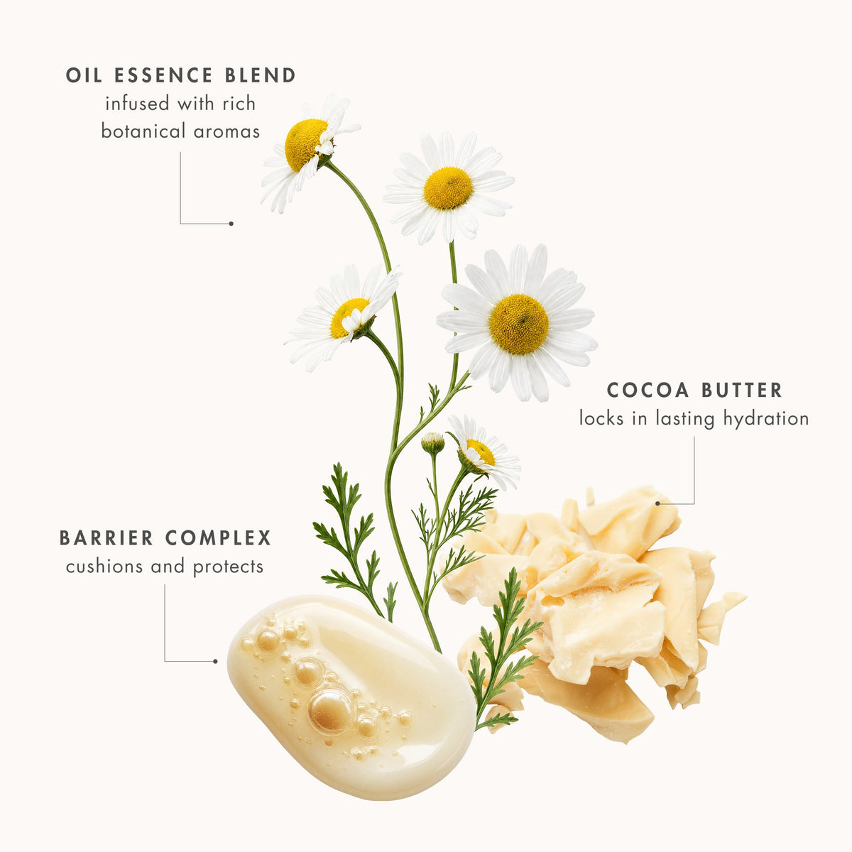 Eve Lom Cleanser