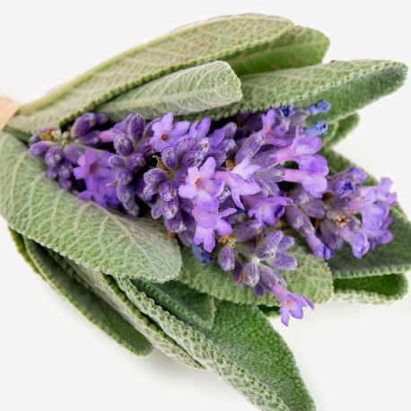 Wow Scent! Eau de Parfum 100ml. - Centro de estética Itziar y Mariángeles