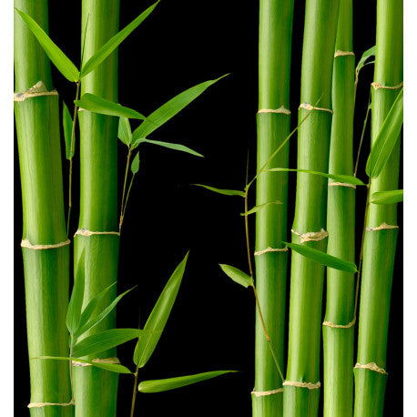 Kara Eau de Parfum 100ml. - Centro de Estética Itziar y Mariángeles