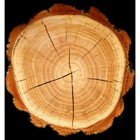 PLATINUM Eau de Parfum - Centro de Estética Itziar y Mariángeles