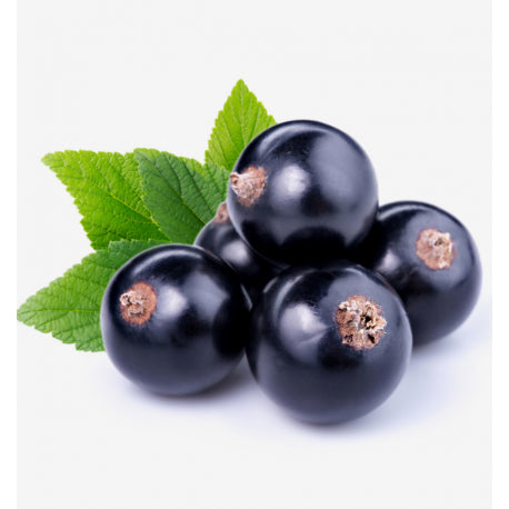 ADRIANA Eau de Parfum - 100 ml 