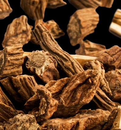 Root Eau de Parfum 100ml. - Centro de Estética Itziar y Mariángeles