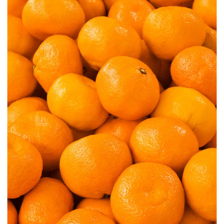 Metal Sport Eau de Parfum 100ml. 