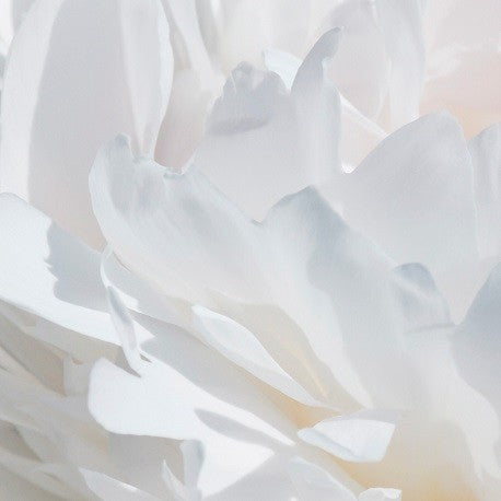 VÁLIA Eau de Parfum - Centro de Estética Itziar y Mariángeles