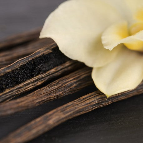 Amira Eau de Parfum 15 ml. - Centro de Estética Itziar y Mariángeles