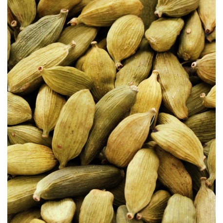 White Summer Eau de Parfum 100ml. 