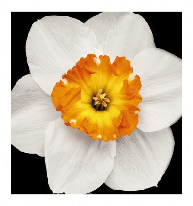 Gianna Eau de Parfum 100ml. - Centro de Estética Itziar y Mariángeles