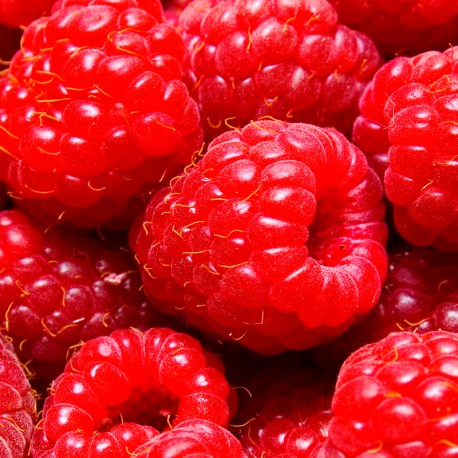 AMBRAX Eau de Parfum 50 ml 