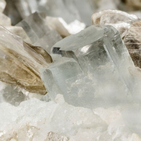 TAYDA Eau de Parfum - 50 ml