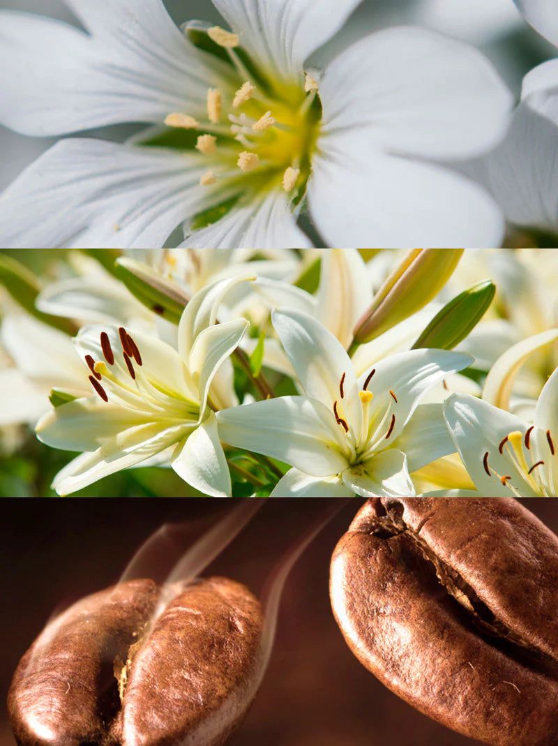 DELÁ Eau de Parfum - 15 mL 