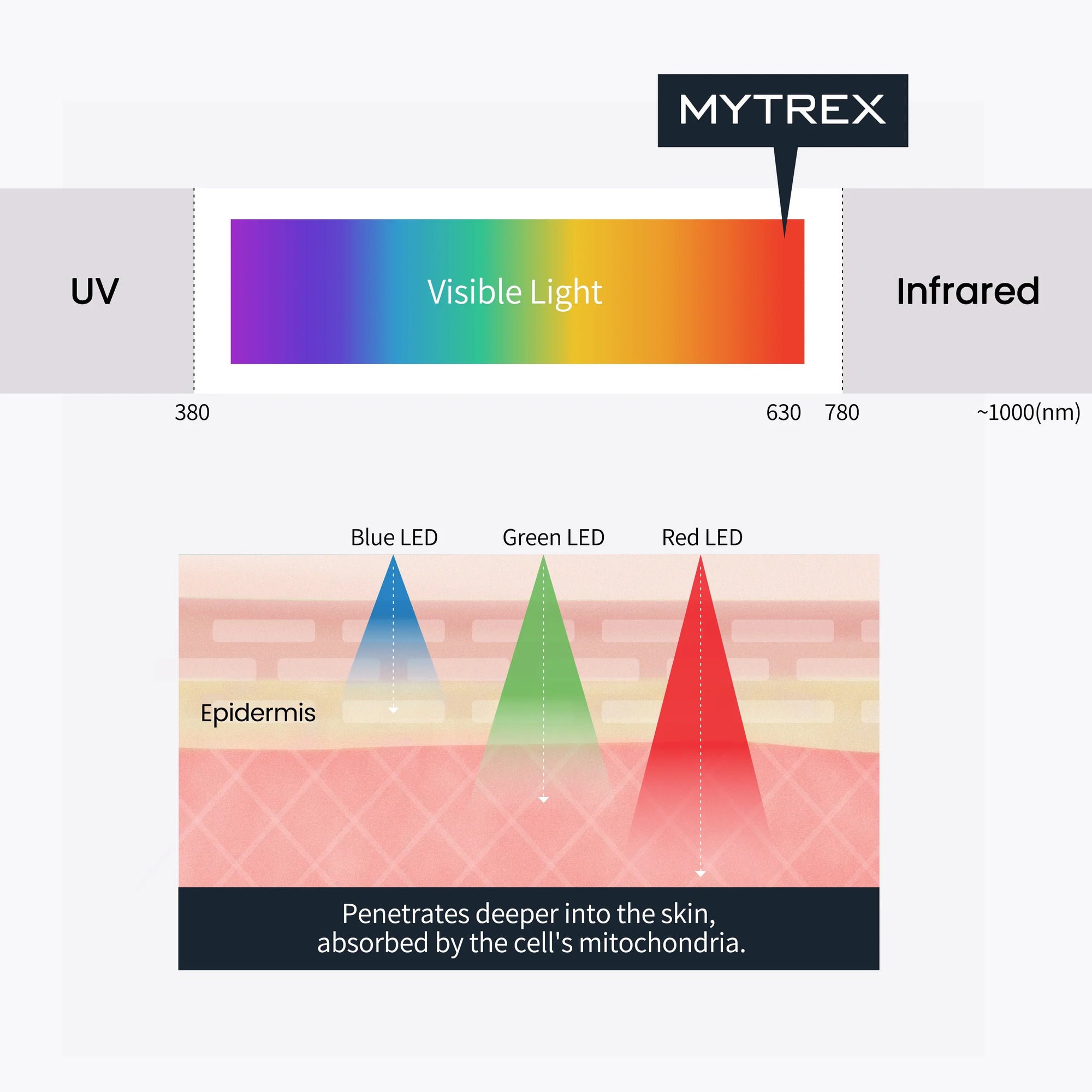 Head Spa Pro — Estimulación EMS y luz roja para un cuero cabelludo sublime