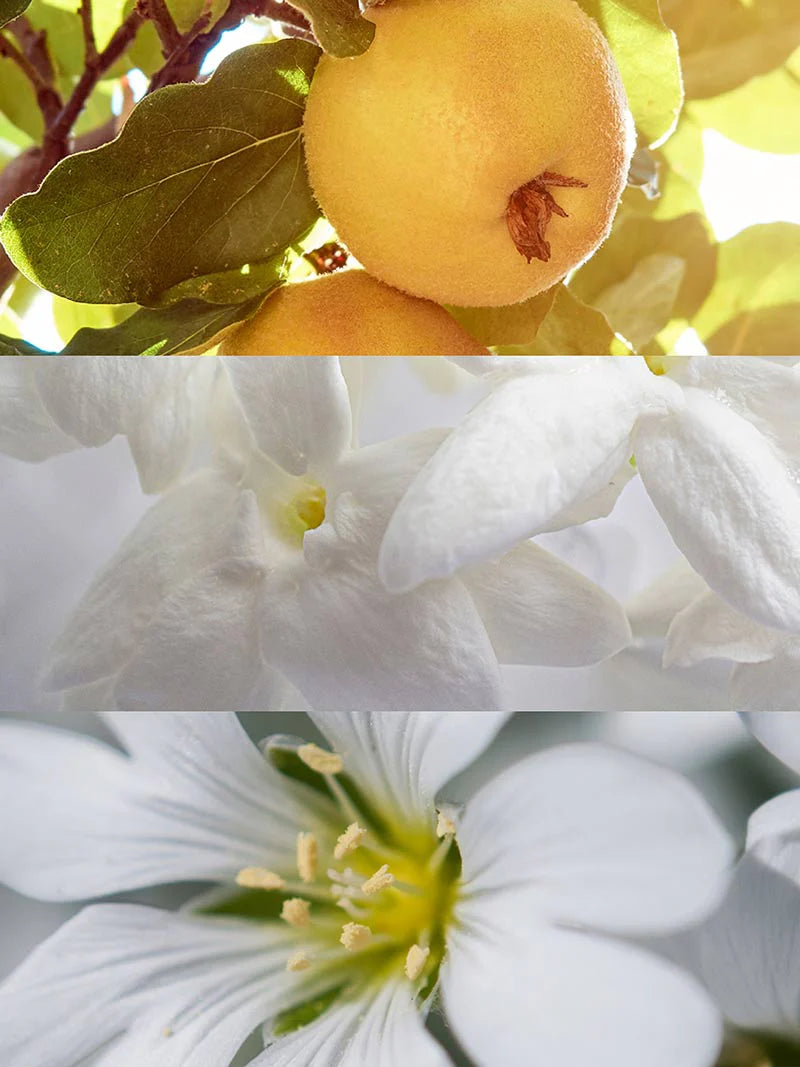 PARA SI Eau de Parfum - 15 mL 