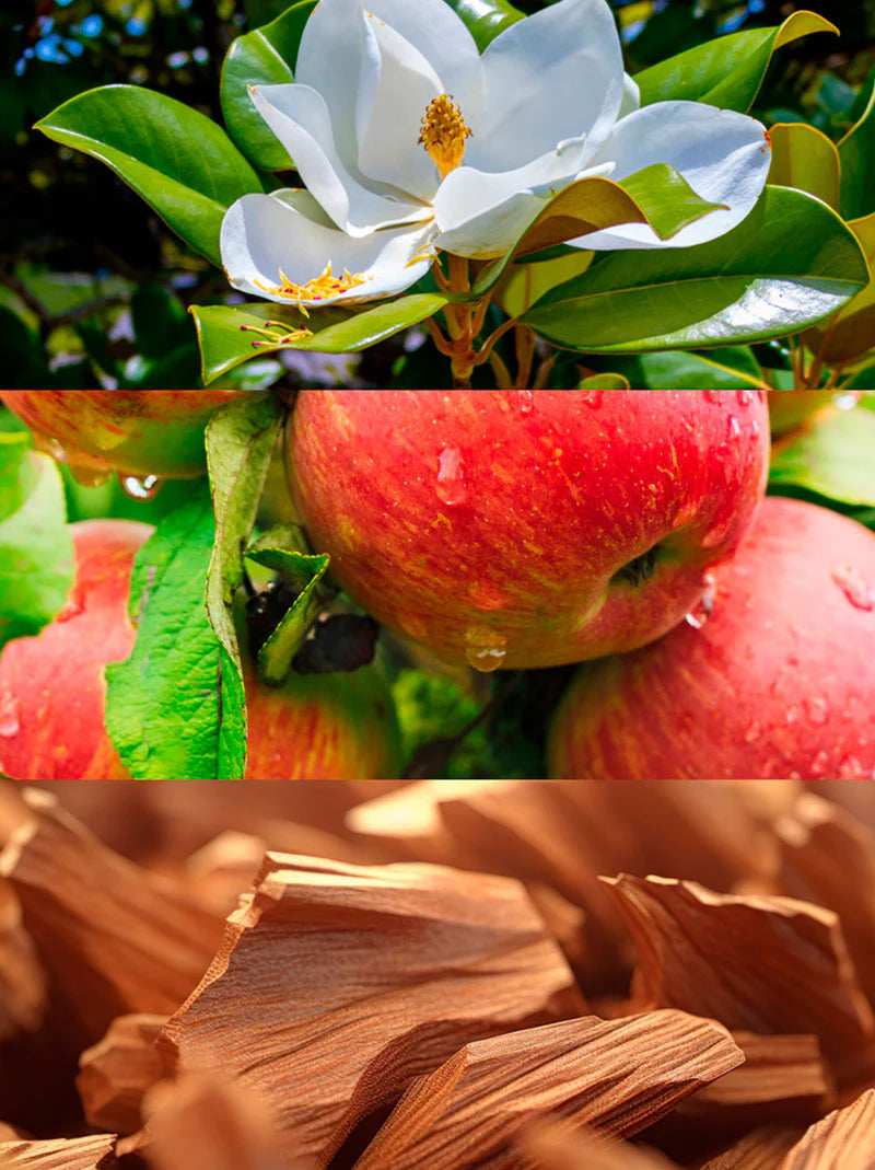 FRUTA Eau de Parfum - 100 mL 