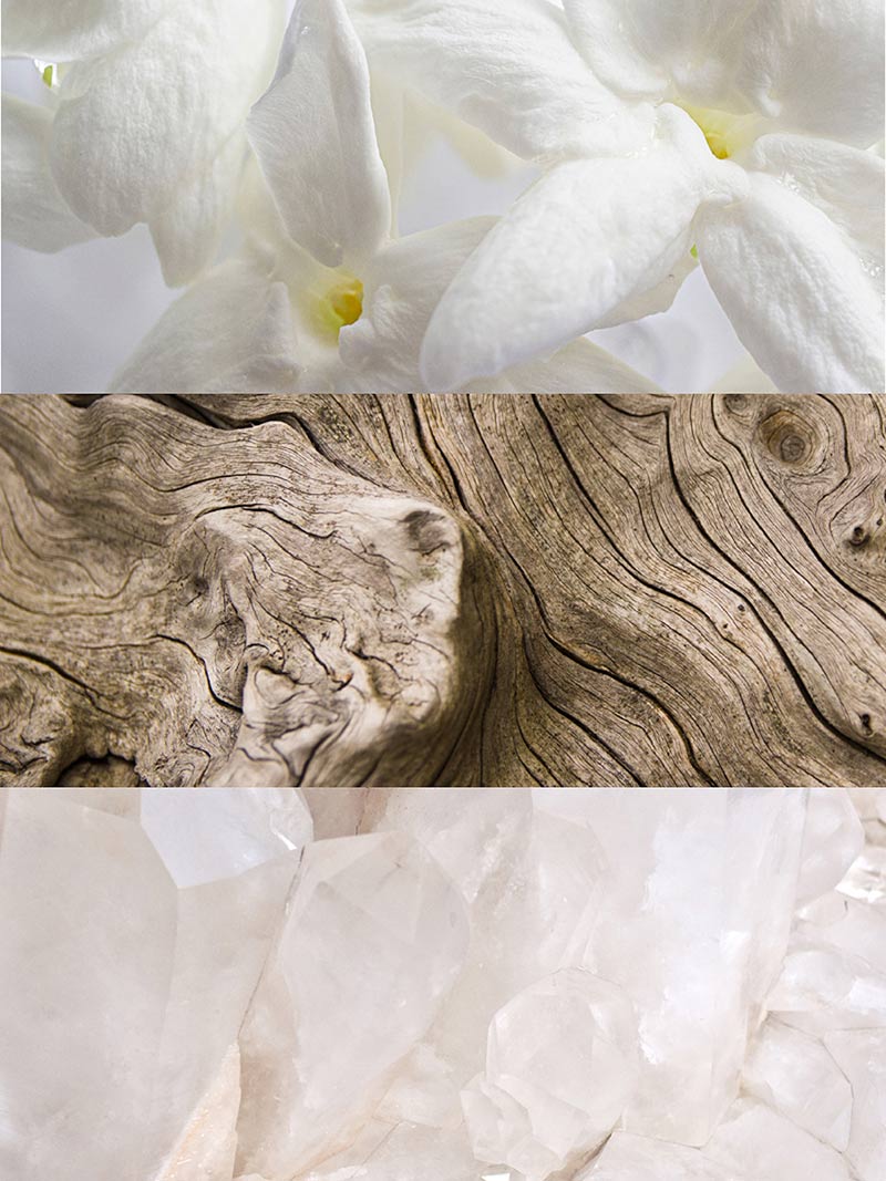 Iris - 100 ml