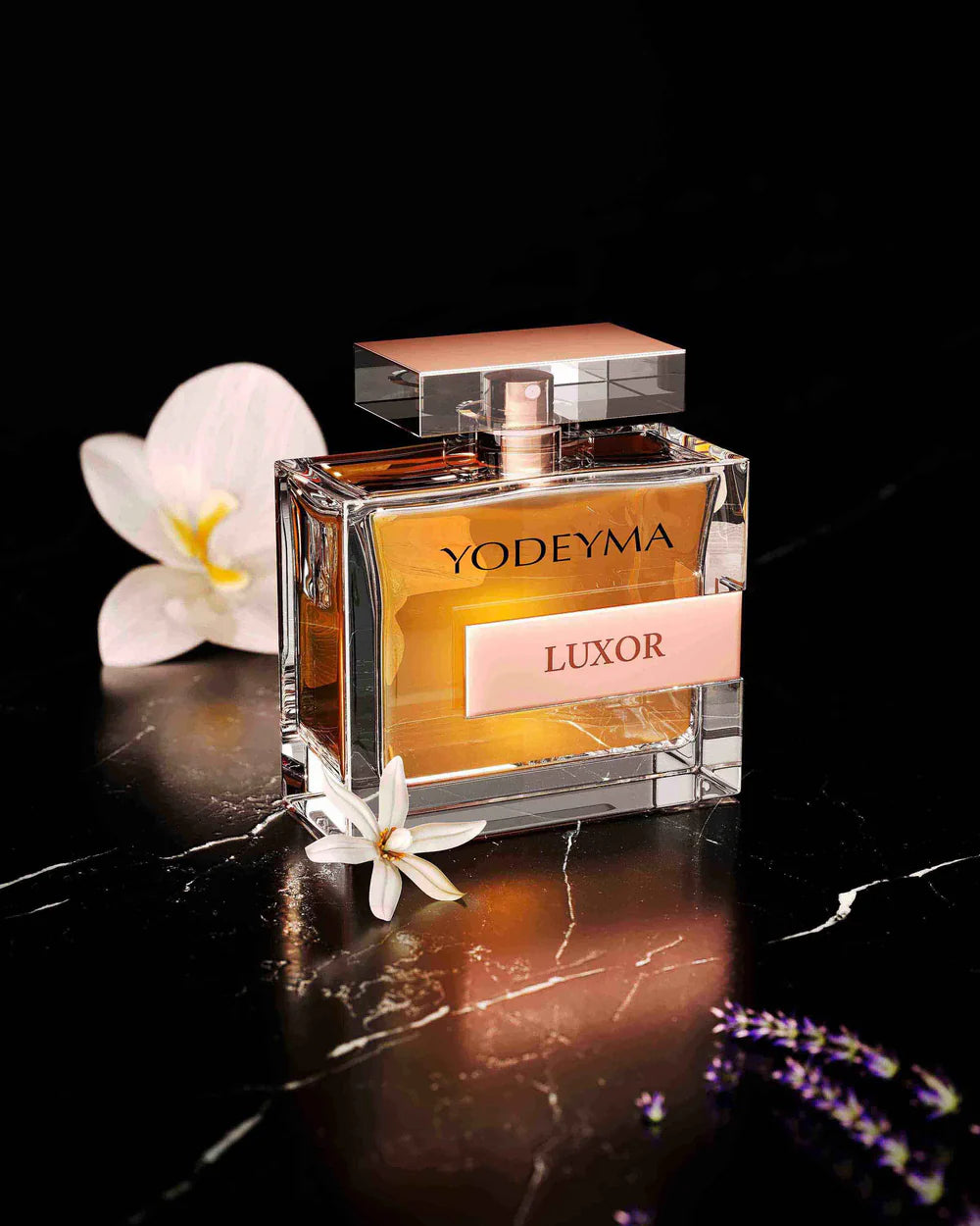 LUXOR Eau de Parfum - 15 mL 
